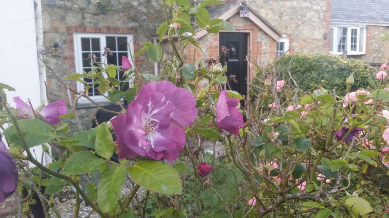 Kingsmede Bed & Breakfast Ventnor Εξωτερικό φωτογραφία